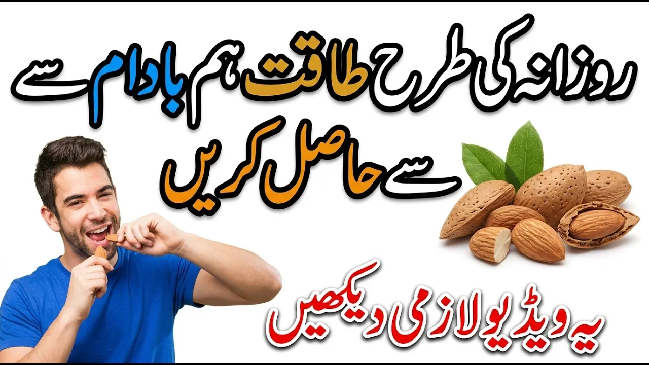 Tips By Hakeem Nasir