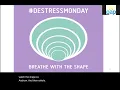 The Stress Response Toolkit - Science-Backed Techniques for Uncertain Times