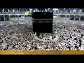 Download Lagu Surah Al Imran - Qari Abdul Wadood Hanif | عبدالودود حنيف - آل عمران