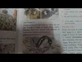 Class 3rd Science chapter 4 Nesting habits part 2 by Mona Keshari