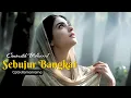 Lagu SEBUJUR BANGKAI -Roma Irama | Cover Versi India