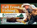Where to Go Trout Fishing in Virginia