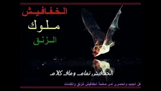 رزه بحري النمر تلب جوه جوه الزمن الجميل 