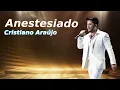 Anestesiado - Cristiano Araújo (Inteligência Artificial)