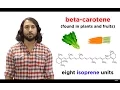 Lipids Part 1 TAGs Fatty Acids and Terpenes