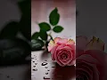 Download Lagu £Assubu bada min #shorts #flowers