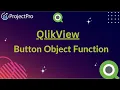 QlikView s Button Object Function