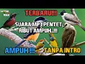 Download Lagu TERBARU/SUARA MP3 PIKAT BURUNG CENDET/PENTET RIBUT AMPUH!!! BUKTIKAN!!!