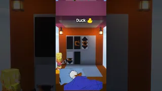 Rice Duck Book Banner in Minecraft