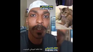 المهدي المنتظر السوداني 
