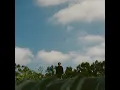 Higher - Croixx