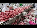 Awesome Mass production of Korean comfort food Korean Food