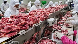 청결함은 기본 ! 고기부터 김치까지 ! 맛으로 승부하는 김치찌개 대량생산 현장 | Mass production of Korean comfort food | Korean Food