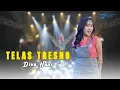 Download Lagu Diva Hani Ft Berkah Talenta - Telas tresno | Official Music Video
