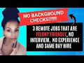 3 Felony Friendly Remote Jobs Anyone Can Get - No Background Checks Needed