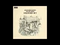 Guitar Shorty - Hard Life (Vinyl Rip)