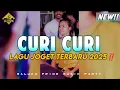 Download Lagu CURI CURI KAU CURI HATIKU _LAGU JOGET TERBARU 2025_DJ PAPA REMIX 🔥🌴