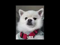 [Playlist] 또다시 보여줘야 돼