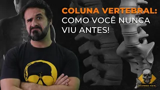 UMA NOVA MANEIRA DE SE APRENDER SOBRE A COLUNA VERTEBRAL!
