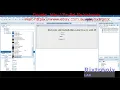 How to use radiobutton label if Delphi Quick