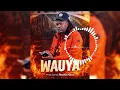 Lagu Chief Shumba Hwenje - Wauya ( Official Audio ) Produced by MasterFlexx