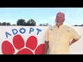ADOPT EM ALL Free Dog Cat Adoptions at Suncoast Humane Society