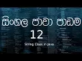 12 - Sinhala Java Tutorial 12