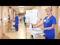 BayCare 2017 Report to the Community Investing in Our Team Members