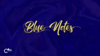 1 stash da groovyest blue notes original mix