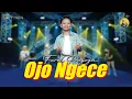 Download Lagu Ojo Ngece - Farel Prayoga