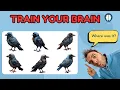 Memory Test Boost Your Brain With Memory Exercises
