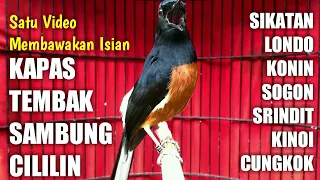 Download MURAI BATU GACOR FULL ISIAN TEMBAKAN MEWAH KAPAS TEMBAK SAMBUNG CILILIN SIKATAN LONDO SRINDIT DLL MP3