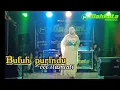 lagu kerinci lamo - BULUH PURINDU - ilasniati - live show mahkota prosound