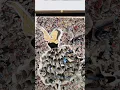 Download Lagu Collage Making 💃 #collagemaking #artwork #papercraft