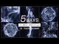 5 Ways To Make Particles in Touc esigner
