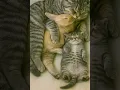Download Lagu When a Cat, Bunny \u0026 Kitten Sleep Together… The Cutest Thing You'll See Today!