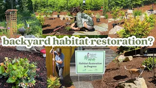 Turning our backyard into a natural habitat (vlog + what we eat in a day)
