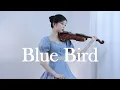Download Lagu Naruto Shippuden (나루토 질풍전) - Blue Bird - Violin Cover