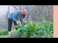 Download Lagu [KiKi-LOG] SEI's VLOG '김장은첫세이로그'