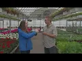 Hi-Way Garden Center 6