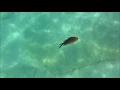 Jon Hopkins - A Drifting Up