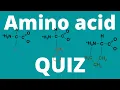 Amino acid QUIZ How many amino acids can you memorize