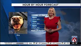 Julie Broughton - News 6 Weather Montage