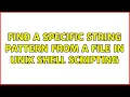 find a specific string pattern from a file in Unix Shell Scripting 2 Solutions