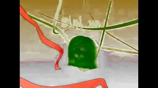 إعلان ألبوم يا طيبة فرقة طيور الجنة 1428 هـ 2007 م Toyor Al Janah In G Major 29 S FE 