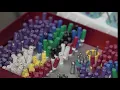 Root Canal Therapy Proficiency with Assistant Shawn Stampfli Dentsply Sirona