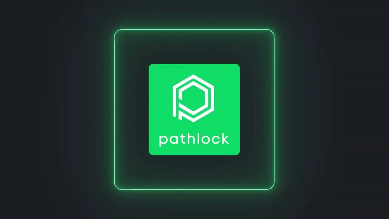 Pathlock Linkedin ad video