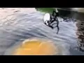 Hollow knight memes