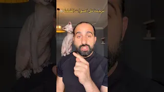 ترجمة كل أصوات القطط 