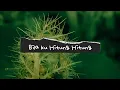 Download Lagu Bila Ku Hitung Hitung (lirik dan video)